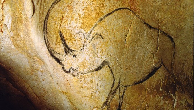 Dessin de rhinocéros sur une paroi de la grotte