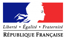 Logo de la République française : Marianne stylisée sur le drapeau français.
