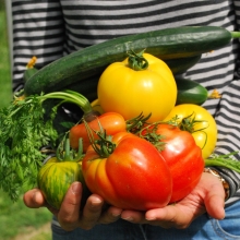 Un personne portant des légumes dans ses bras.