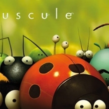 Coccinelle, abeille, fourmi et autres insectes en dessin d'animation